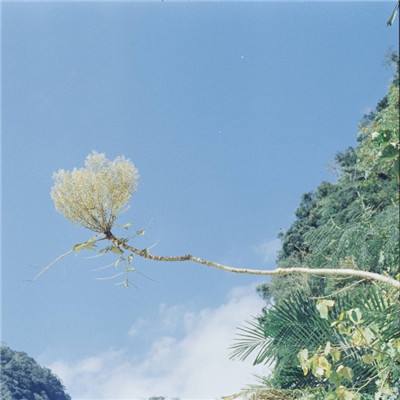 水面漂浮式光伏电站供应商全景解...